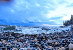 Crackling Cove
