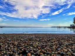 Lone Pine Oceanside Cottage